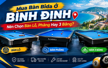 Mua Bàn Bida Ở Bình Định: Nên Chọn Bàn Lỗ, Phăng Hay 3 Băng?