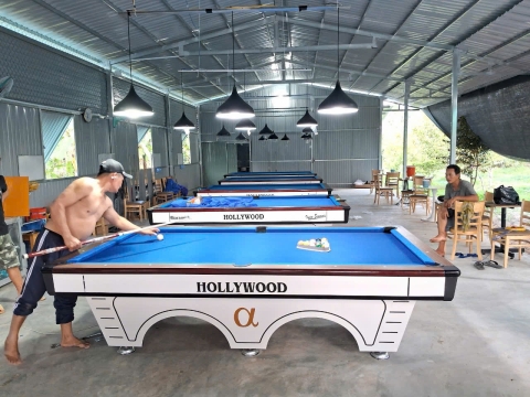 BÀN BIDA LỖ HOLLYWOOD