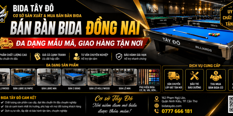 Bán bàn bida Đồng Nai | Đa dạng mẫu mã, giao hàng tận nơi